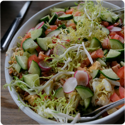 Ein Teller mit frischem Salat aus Gurken, Tomaten, Radieschen und Salatblättern, auf einem Holztisch serviert.